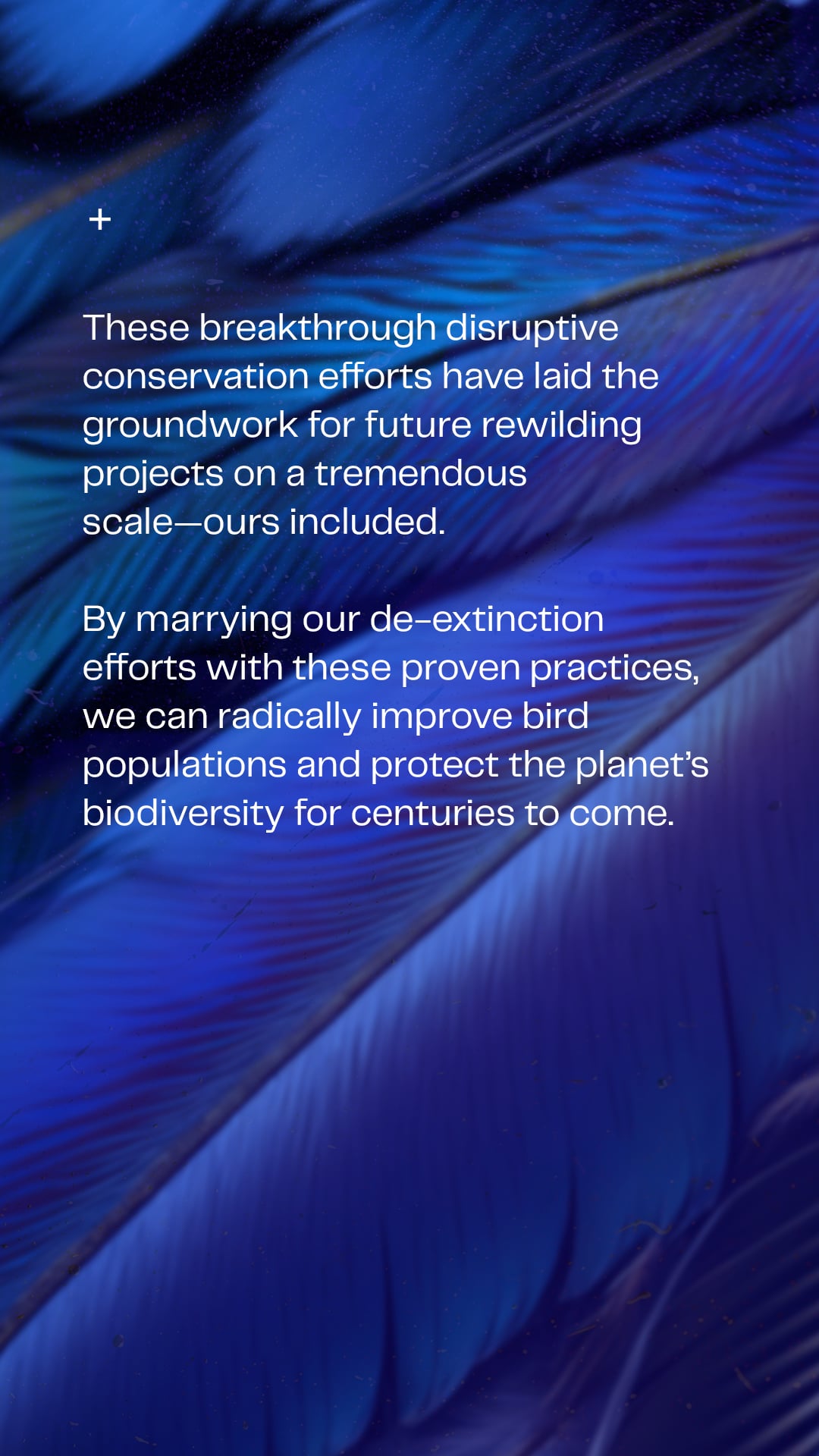 COL-Disruptive-Conservation-IG-Story-Frame 6